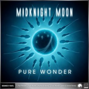 Pure Wonder (Maxi-Single) album cover