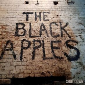 Shot Down album cover