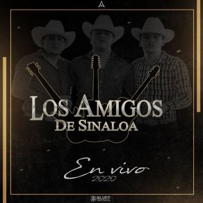 En Vivo 2020 (En Vivo) album cover