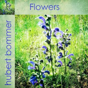Flowers album cover