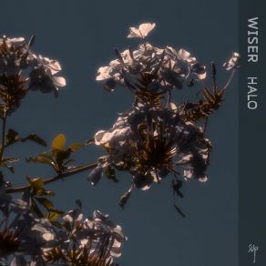 Wiser album cover