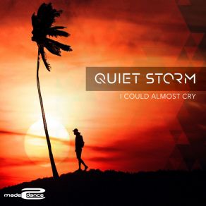 I Could Almost Cry album cover