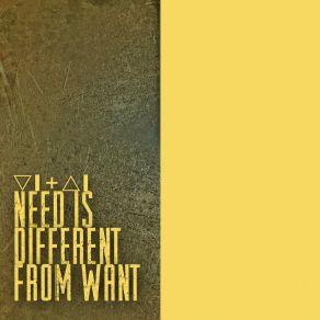 Need Is Different From Want album cover