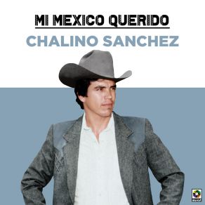 Mi Mexico Querido album cover