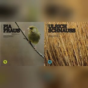 Mute The Birds-Ships Will Sail (& Pia Fraus) (Maxi-Single) album cover