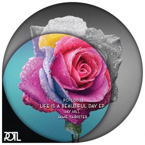 Life Is A Beautiful Day album cover