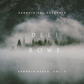 Vanndigibeats, Vol. 9: Deli Rowe album cover