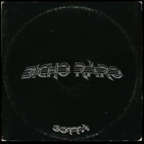 Bicho Raro album cover