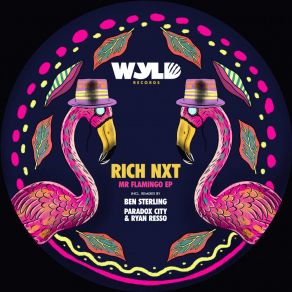 Mr Flamingo album cover
