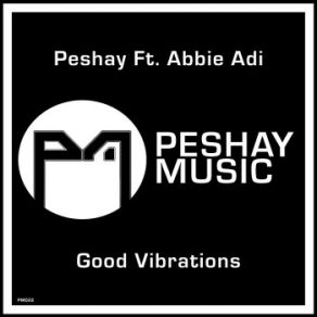 Good Vibrations (Single) album cover