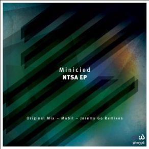Ntsa (Maxi-Single) album cover