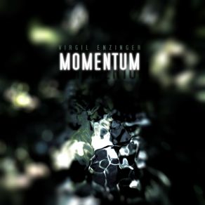Momentum album cover