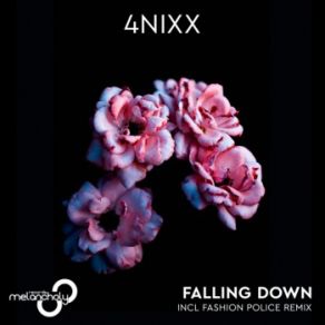 Falling Down (Maxi-Single) album cover