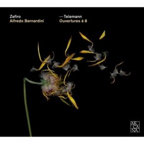 Telemann - Ouvertures A 8 - Alfredo Bernardini album cover