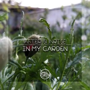 In My Garden album cover