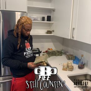 Still Countin album cover