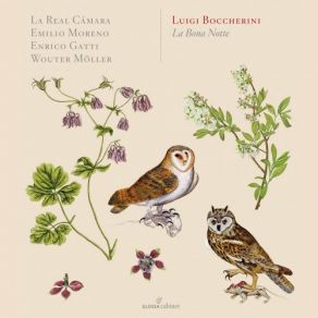 Boccherini: Chamber Music album cover