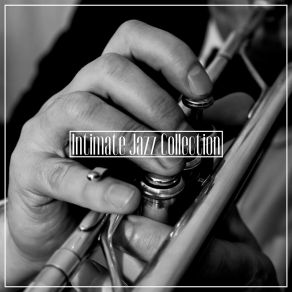 Intimate Jazz Collection - Passionate Moments With A Mysterious Lover, Erotic Music, Thrills, Maximum Pleasure, Gentle Touch album cover