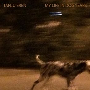 My Life In Dog Years album cover