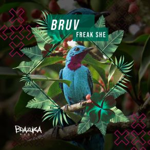 Freak She album cover
