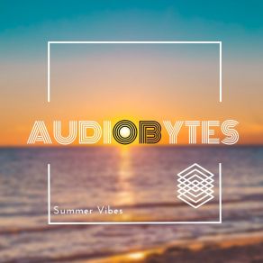 Summer Vibes album cover