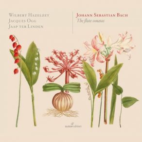 J. S. Bach: The Flute Sonatas (CD2) album cover