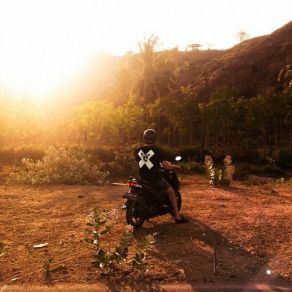 A Collection Of Xinobi Dance Songs album cover
