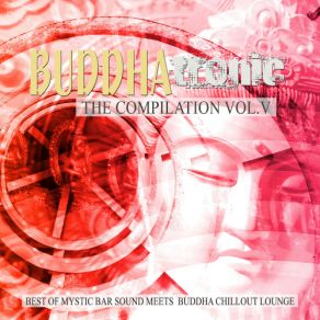 The Compilation Vol. V album cover