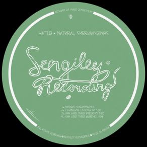 Natural Surroundings album cover