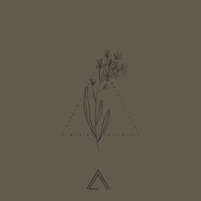 A Voyage A Paris album cover