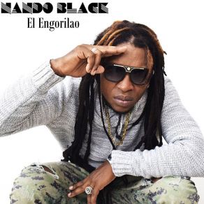 El Engorilao album cover