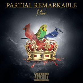Partial Remarkable album cover