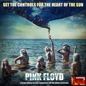 Set The Controls - A Unique Tribute To Pink Floyd album cover