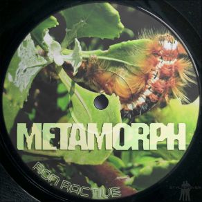 Metamorph album cover