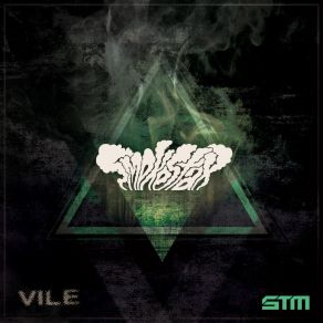Vile album cover