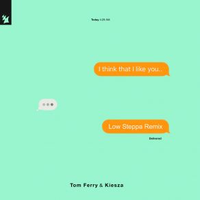 I Think That I Like You (Low Steppa Remix) album cover