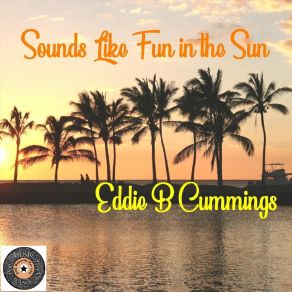 Sounds Like Fun In The Sun album cover