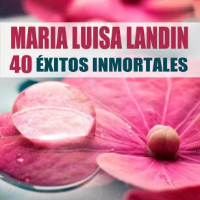40 Éxitos Inmortales (Remasterizado) album cover