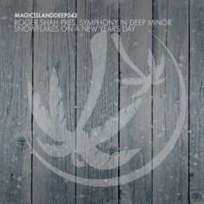 Snowflakes On A New Year's Day (Single) album cover