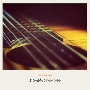 I Couldn't Care Less album cover