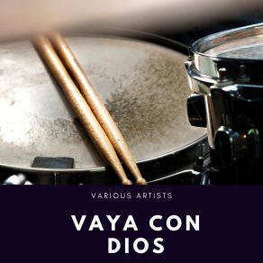 Vaya Con Dios album cover