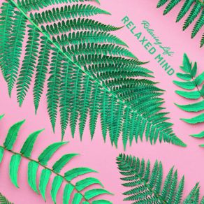 Relaxed Mind album cover