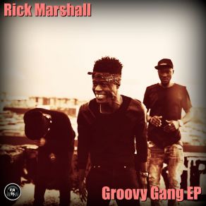 Groovy Gang album cover