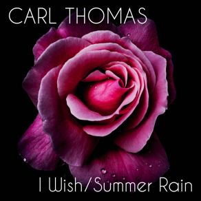 I Wish / Summer Rain (Re-Recorded) album cover