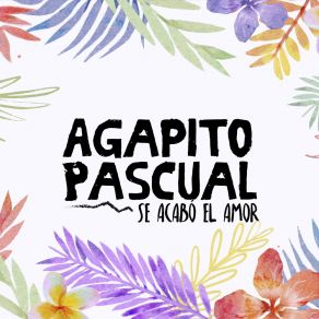 Se Acabó El Amor album cover