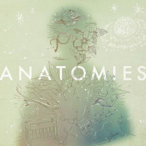 Anatomies album cover