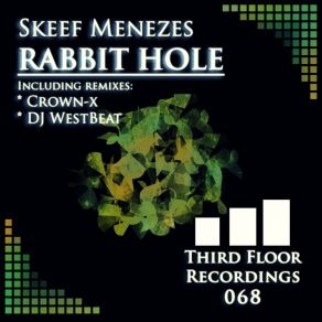 Rabbit Hole album cover