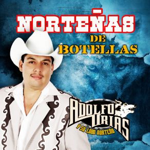 Norteñas De Botella album cover