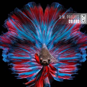 Colors album cover