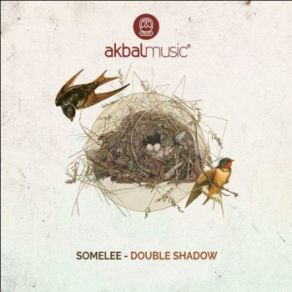 Double Shadow (Maxi-Single) album cover